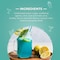 Freez Lemon &amp; Mint Drink 275Ml
