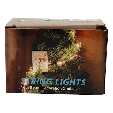 Wire Chrimass Light 10Mt 100Light