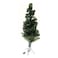 H180Cm Medium Green Tree Jl240251