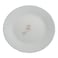 Cello Plain Dinner Plate 10 /25cm