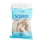 Alpha Squid 500G