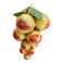 Pecker Fruit Deco A84067