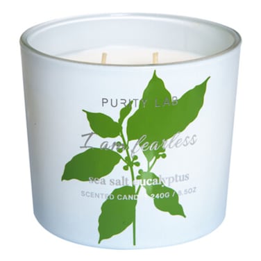 Domus Candle 8.5Oz UJ9280 Eucalyptus