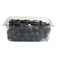 Black Seedless Grapes 500g