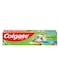 Colgate Herbal With Salt 70g