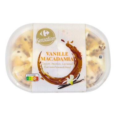 Carrefour Vanilla Ice Cream 484G