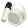 Havit Bluetooth Speaker With Mic SK819BT