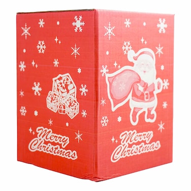 Red Snow Globe Music &amp; Light - Med