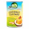 Nature's Charm Coconut Custard 400g