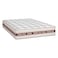Rosa Mattress Plus 4'0x6'3