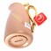 Regal Flask Rgp34P-05G 500ml