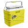 Pinnacle Pasco Cooler Box 10l