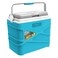 Pinnacle Pasco Cooler Box 10l