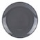 AAH Plate 10.5" Moonlight Gray #5