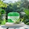 Amara Rejuvenating Aloe Petroleum Jelly 50G
