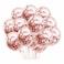 PMS Foil Confett Balloons Rose 6 Pcs