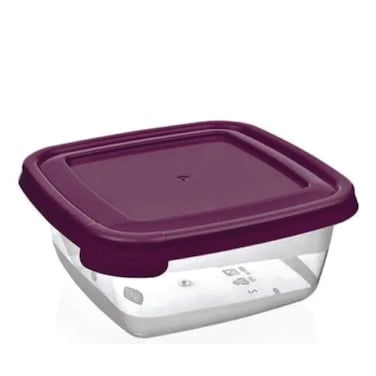 Bager Square Storage Container Bg-618 250ml