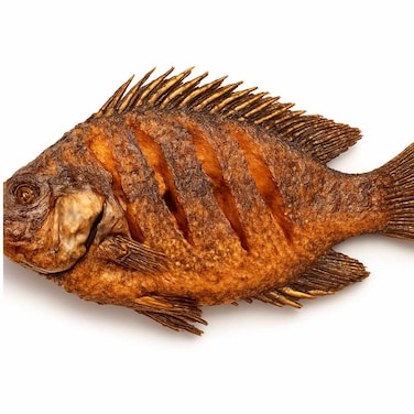 Fried Whole Tilapia Fish 