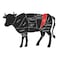Select Beef Rump Steak 500g