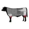Select Beef Shin On 650g