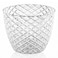 Gondol Orchid Plant No2 Krs222 1.6l