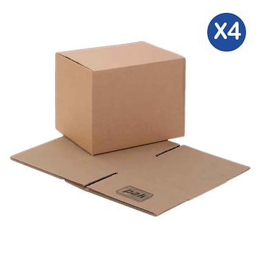 Expert Plain Carton Large X4 (533 &times; 300 &times; 280 mm)