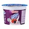 Frusion Wild Berry Cup Yoghurt 100Ml