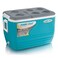 Pinnacle Cooler Box 60Qt/57l