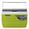 Pinnacle Cooler Box 4.5l