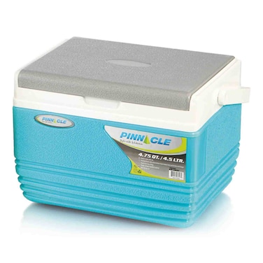 Pinnacle Cooler Box 4.5l
