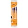 Bic Fine Point 2Pieces Blue/Black