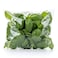 Basil Pack 50g
