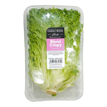Farm Fresh Salad Curly Blond Pack