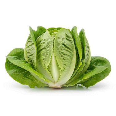 Lettuce Heart 50g