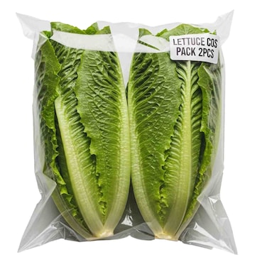 Farm Fresh Lettuce Cos Pack 2pcs