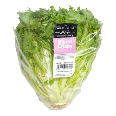 Salad Curly Blond Loose 1pc