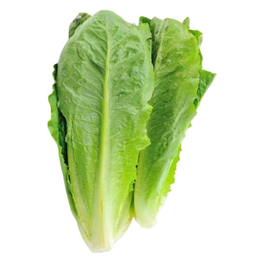 Lettuce Roman Loose 1pc