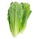 Lettuce Roman Loose 1pc