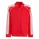 Assorted Unisex Track Jackets