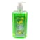 Gental Care Hand Wash Melon 500Ml