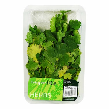 Coriander Premium Pack 50G