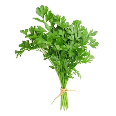 Parsley Premium Pack 50g