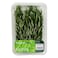 Rosemary Premium Pack 50G