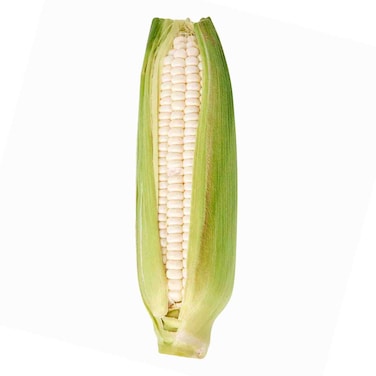White Maize In Corn