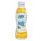 Jolly Fresh Tree Tomato Kefir Milk 500ml