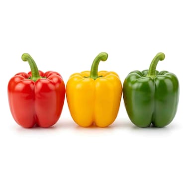 Capsicum Tricolor Pack