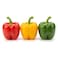 Capsicum Tricolor Pack