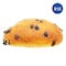 12 Chocolate Samoon 800g