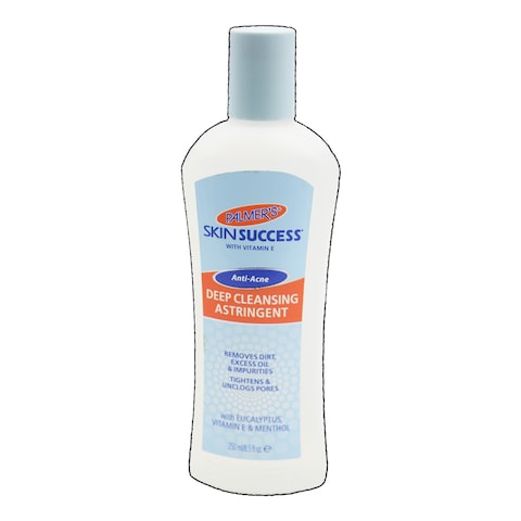 Skin Success Deep Clean Facial250Ml