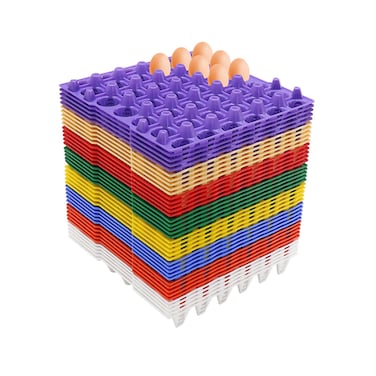 Kenpoly Egg Tray Assorted Colours